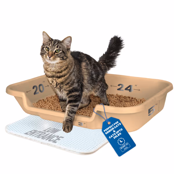 KittyGoHere Senior Cat Litter Box